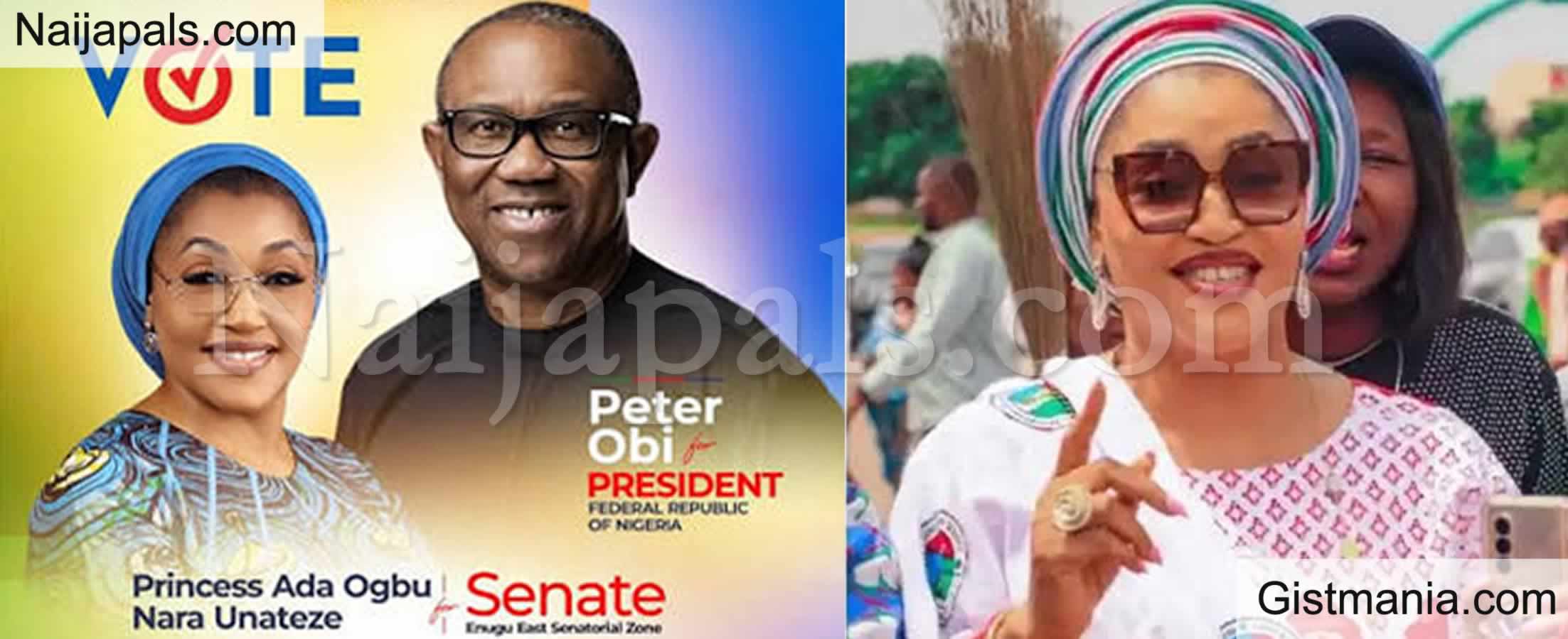 They Want to Stop Peter Obi’s Town Hall Meeting in Enugu - Princess Ada Ogbu Raises Alarm