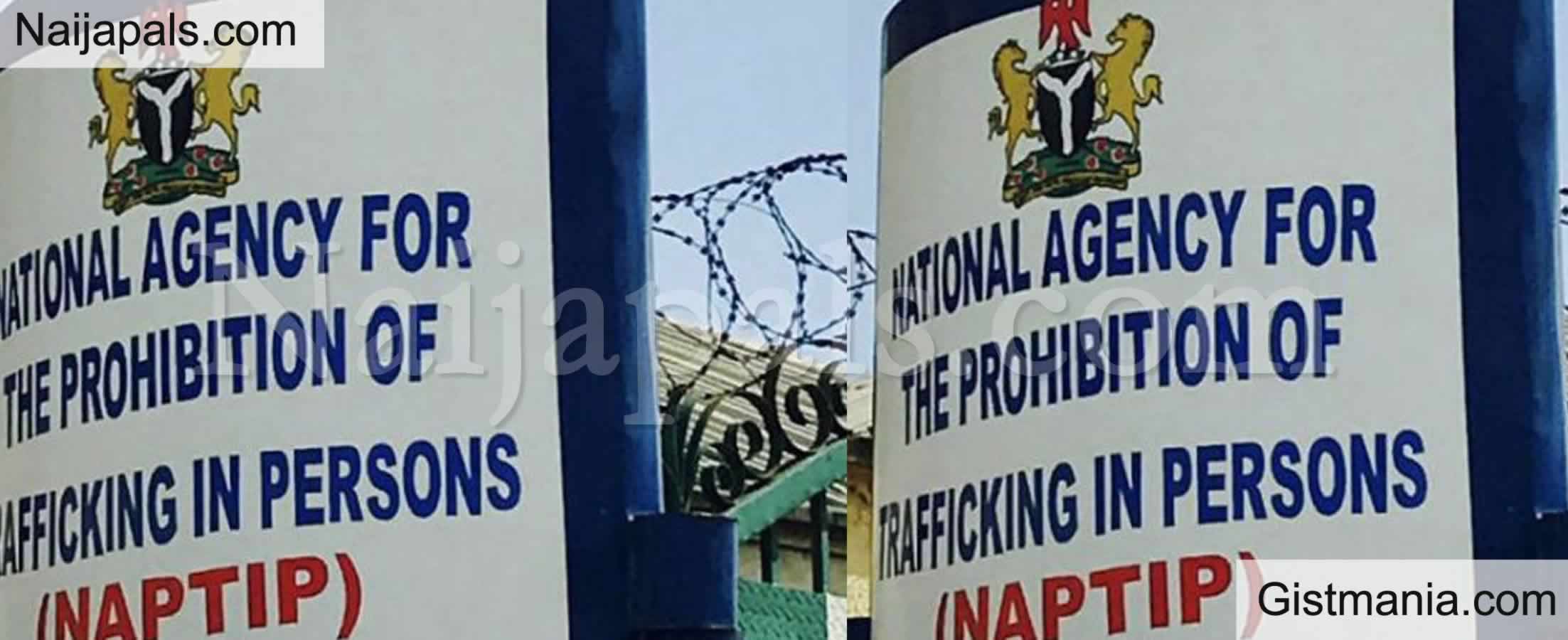 NAPTIP Rescues 14-Year-Old Girl, Bashariyya Usman Allegedly Abused by Government Official’s Wife in Sokoto