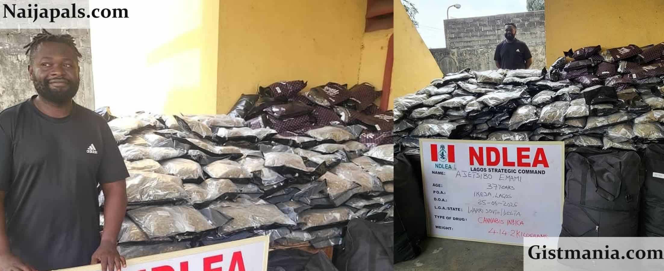 NDLEA Nabs Notorious Drug Baron, Ajetsibo ‘Warri Kinsman’ Emami in Major Lagos Bust (Photos)