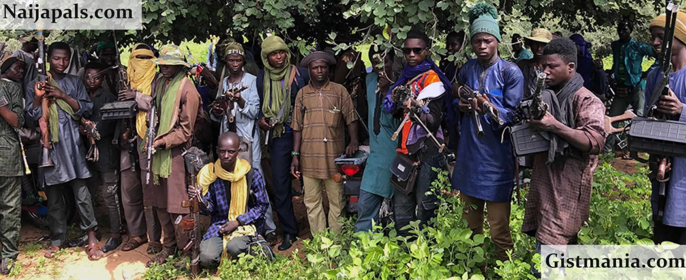 &#039;Call Us Terrorists, Expect Violence&#039; - Bandit Kingpin, Ado Aleru Issues Threat