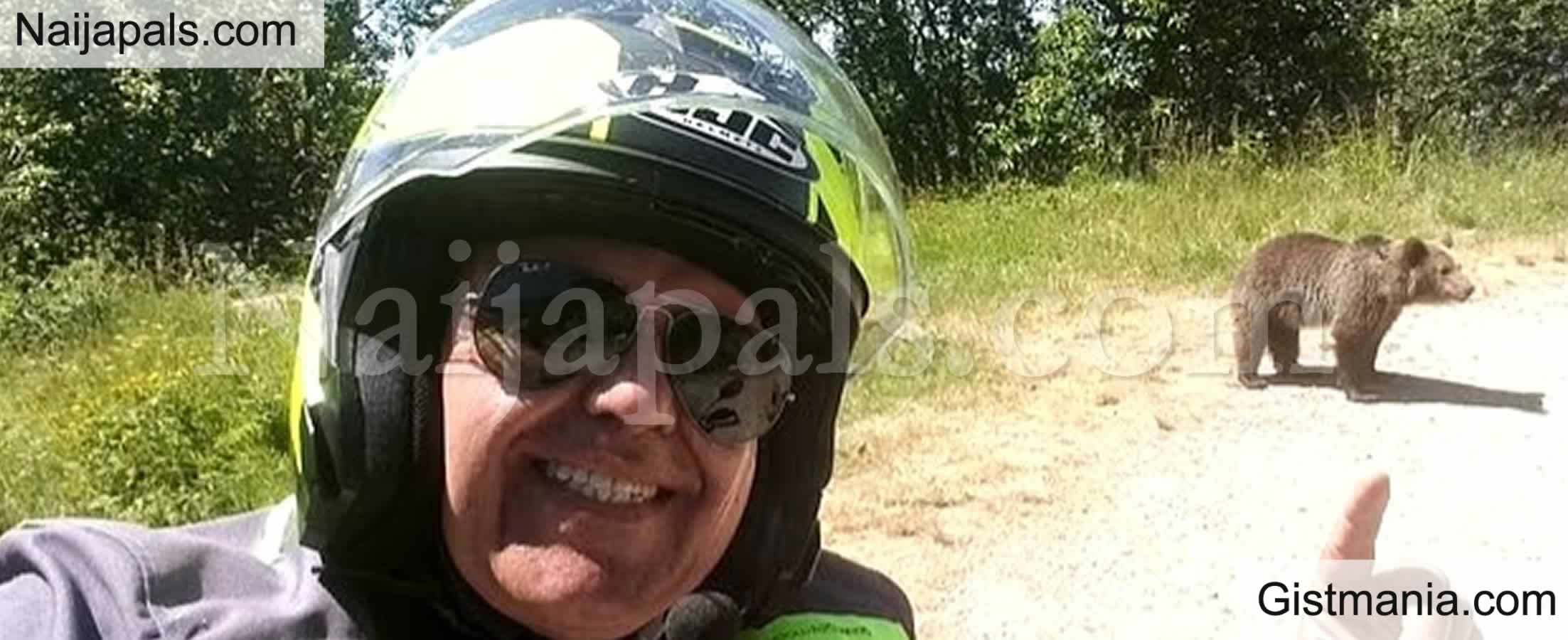 Tourist Dragged Into A Ravine And Killed By Bear After Posing For Selfie With Its Cub