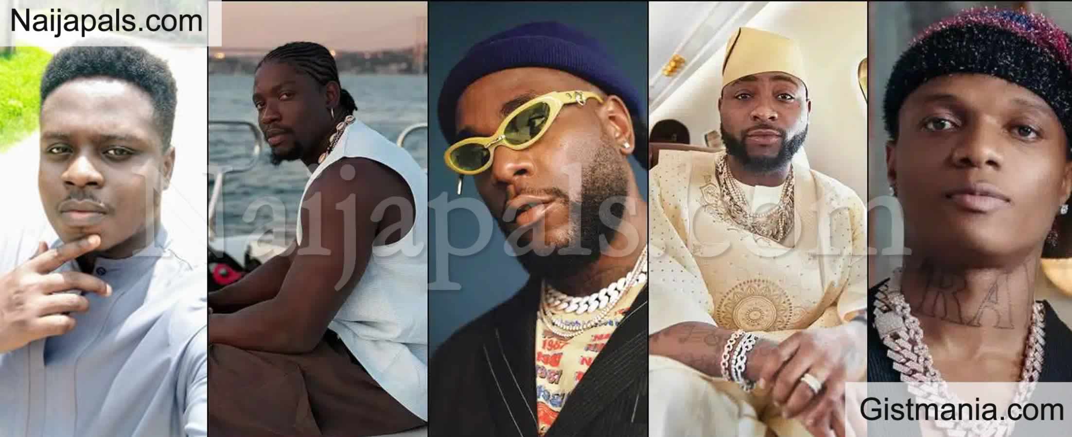 Nigerian Writer, Bismark Reveals Why Verydarkman Attacked Burna Boy, Davido And Wizkid