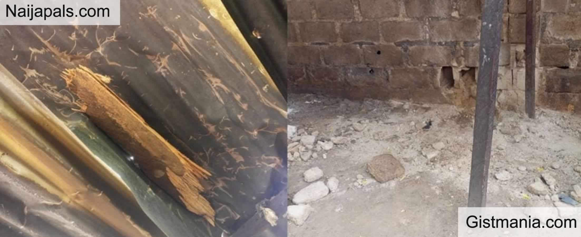 Nine Killed In Deadly IED Blast At Borno Bus Stop As Terror Threat Lingers