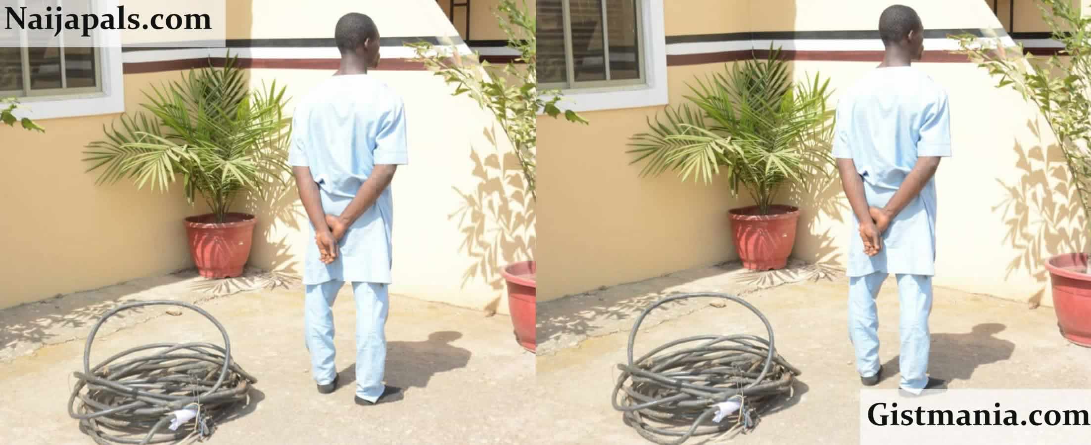 NSCDC Nabs Suspected Cable Vandal In Makurdi With Condoms And Noodles In Possession