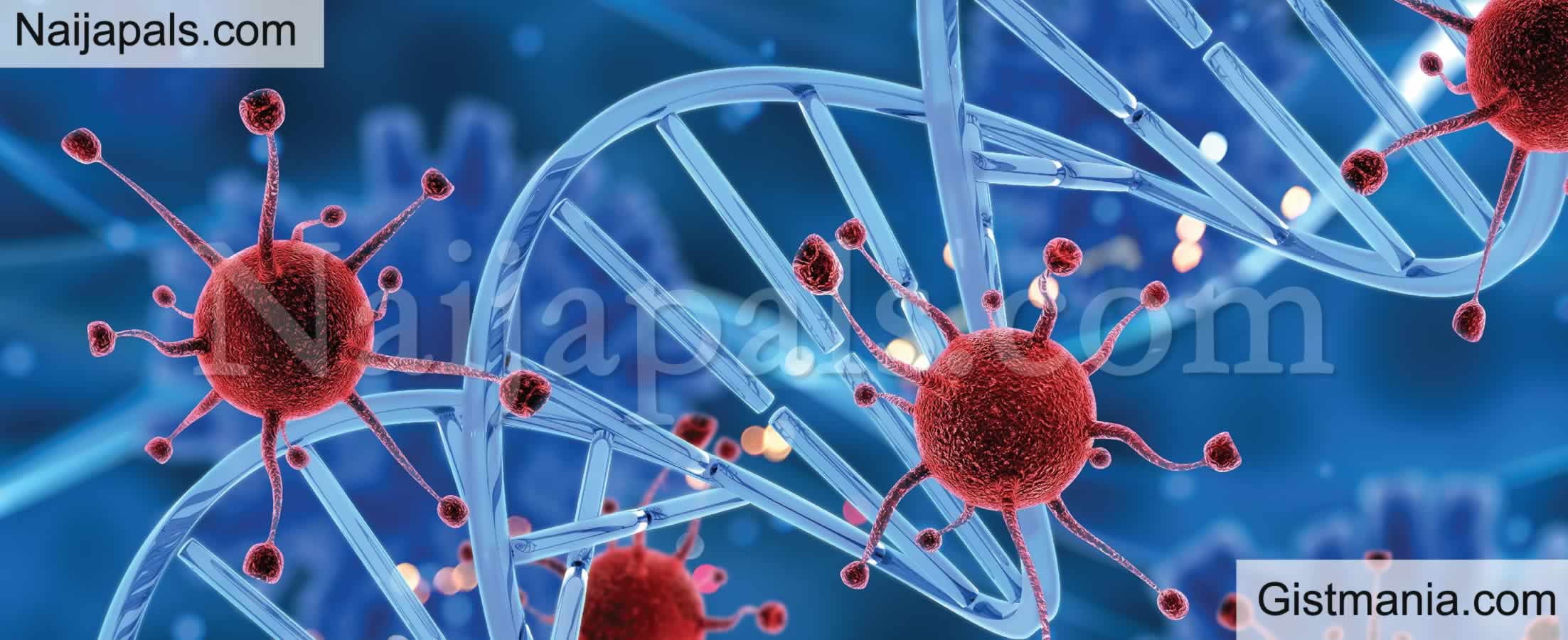 Sugary Drinks, Refined Carbs, Processed Meats Are Some Major Causes of Cancer – Varsity Don