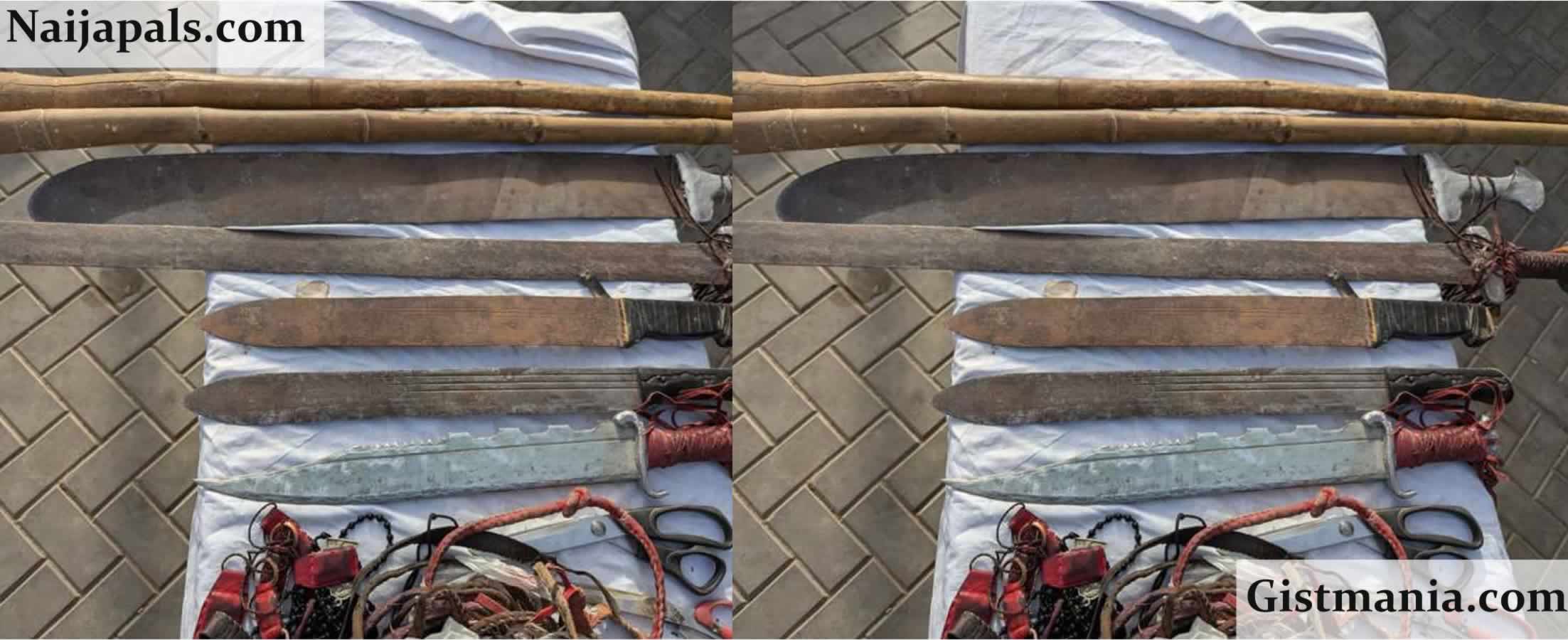 Kano Task Force Arrests 53 Suspected Thugs In Major Crime Crackdown