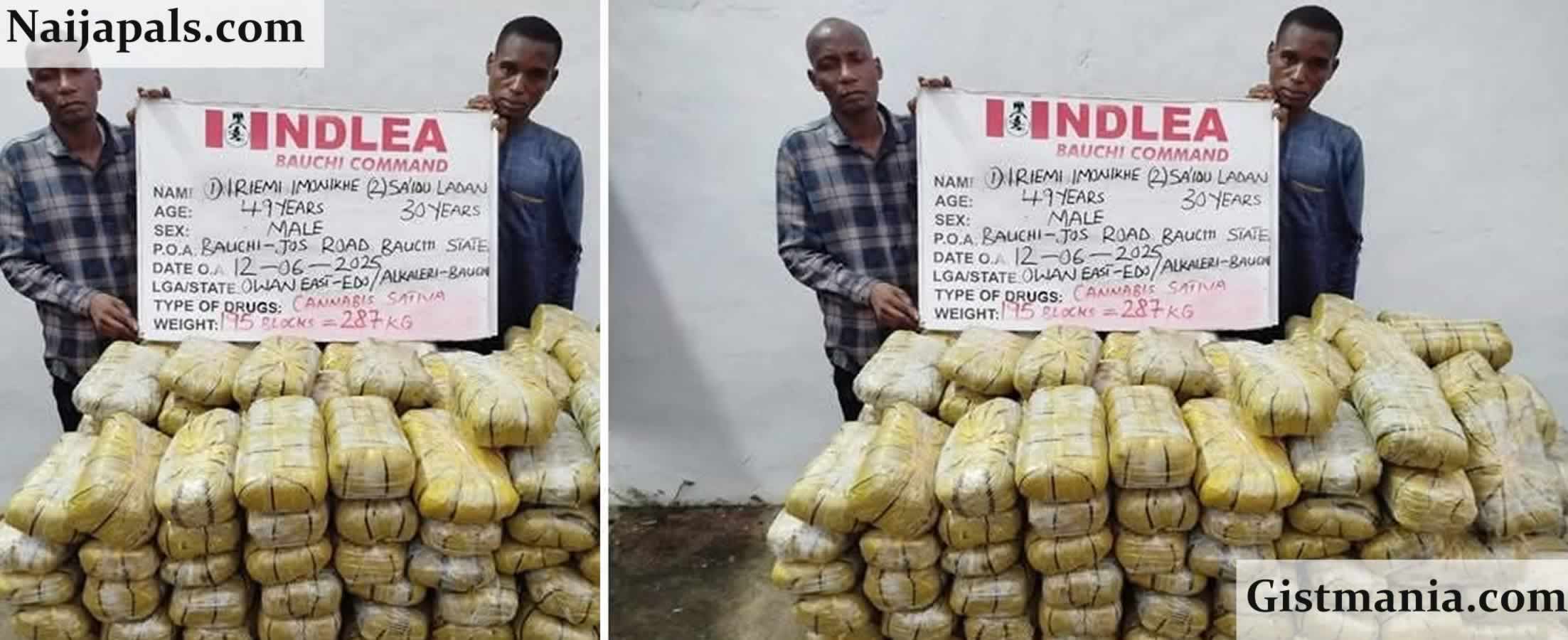 NDLEA Intercepts 287kg of Skunk on Bauchi-Jos Highway, Arrests Two Suspects