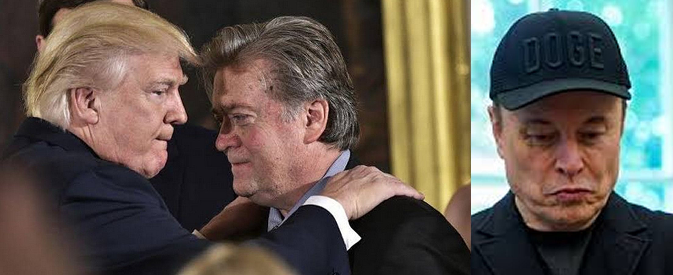 Deportation Of Elon Musk Looms As Steve Bannon Pressurizes President Trump