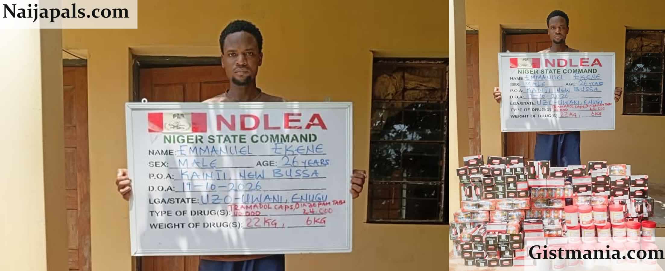 NDLEA Nabs Man, Emmanuel Ekene With 64,000 Opioid Pills on Niger State Road