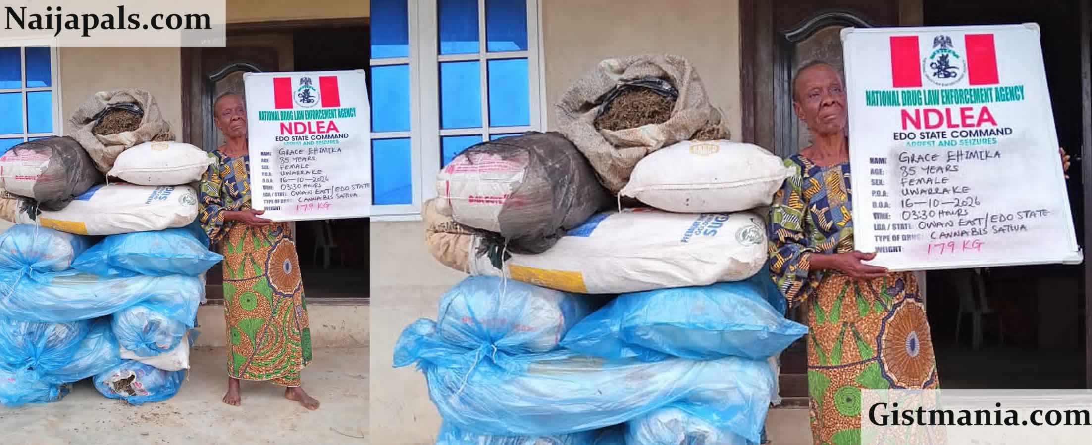 NDLEA Seizes N6.98bn Tramadol Hidden as Maize Starch at Apapa Port; Arrests 85-year-old Grandmother