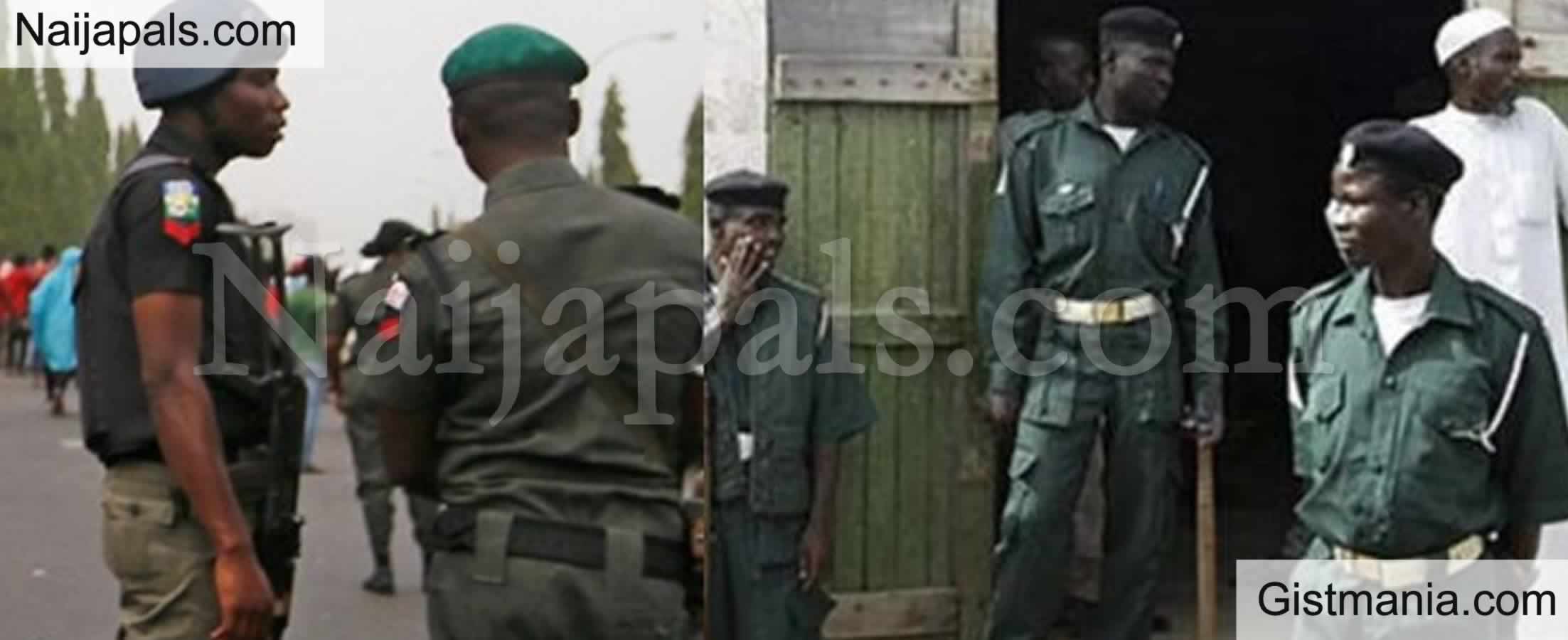 Hisbah, NDLEA Shut Down Brothel, Seize 209 Cartons Of Alcohol in Yobe Crackdown
