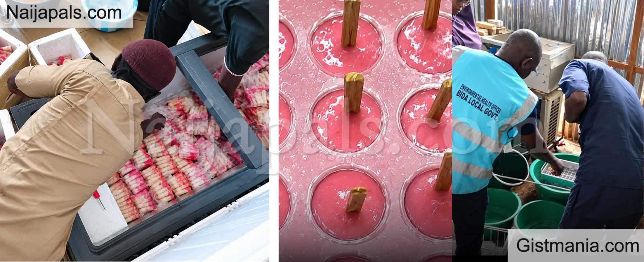 Niger LGA Seals Ice Cream Factory After Flies Were Found in Mixture, Lack of NAFDAC Number
