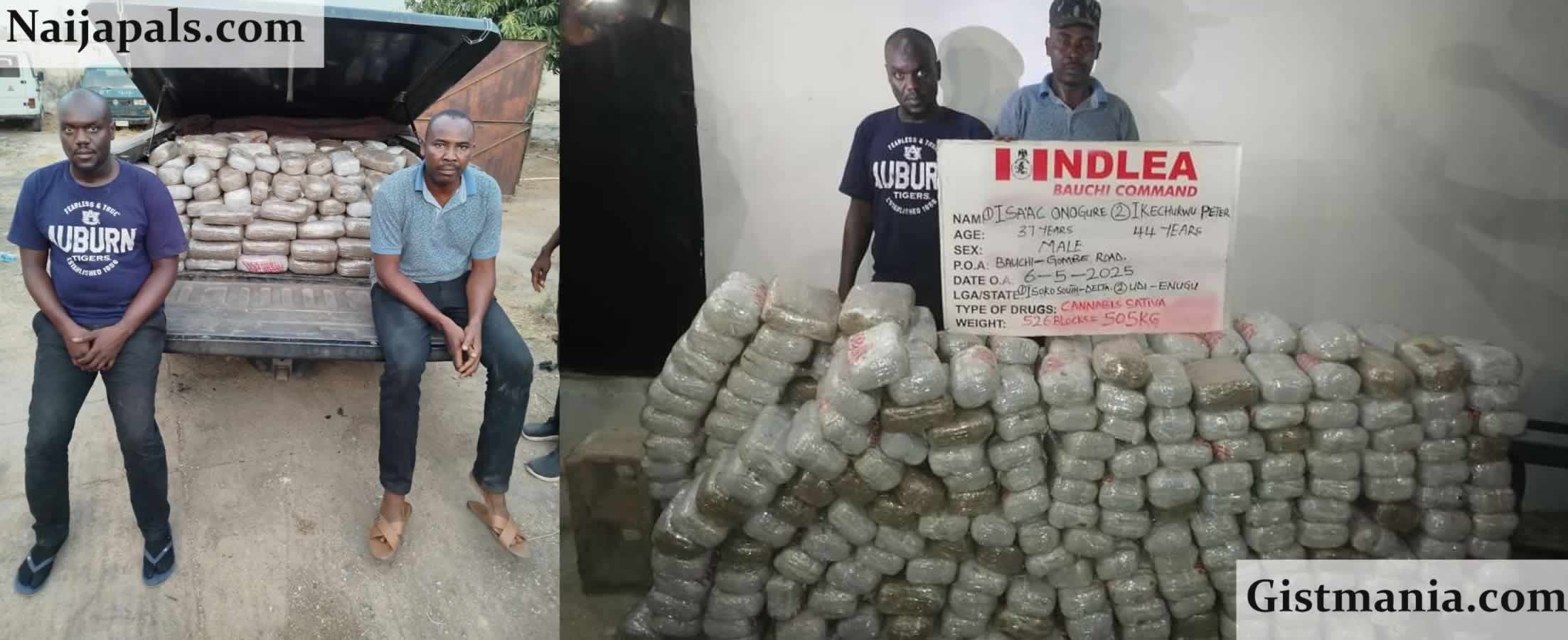 NDLEA Seizes Over 500kg Of Skunk In Bauchi Drug Bust&#059; Two, Isaac Onogure & Ikechukwu Peter Arrested