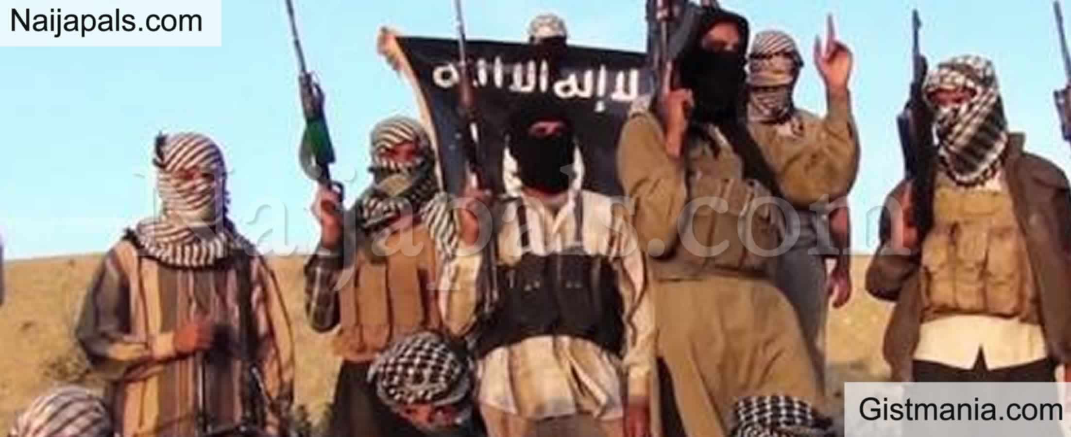 ISWAP Fighter Flees Hideout, Surrenders With Wife and Son in Borno