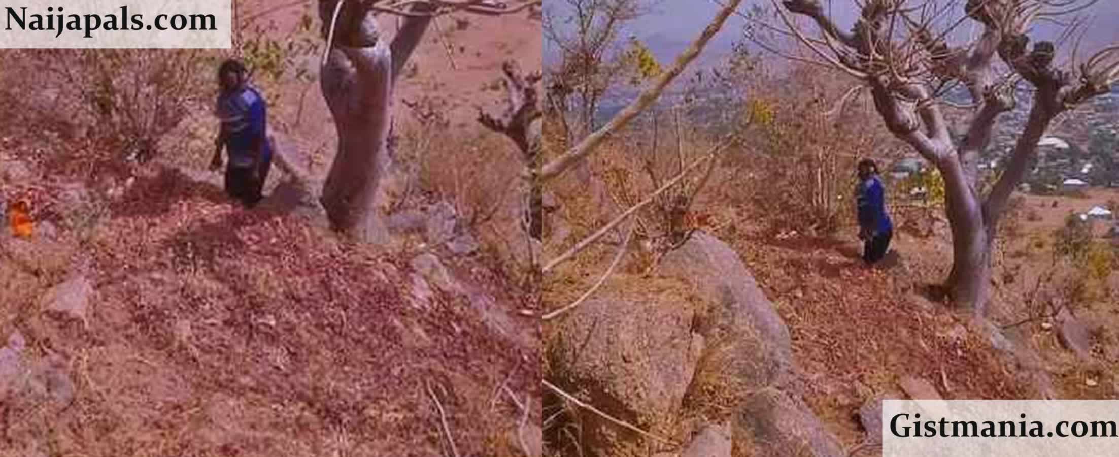 Mystery Surrounds Death Of Young Lady, Maryam Found Hanging On A Tree In Gombe