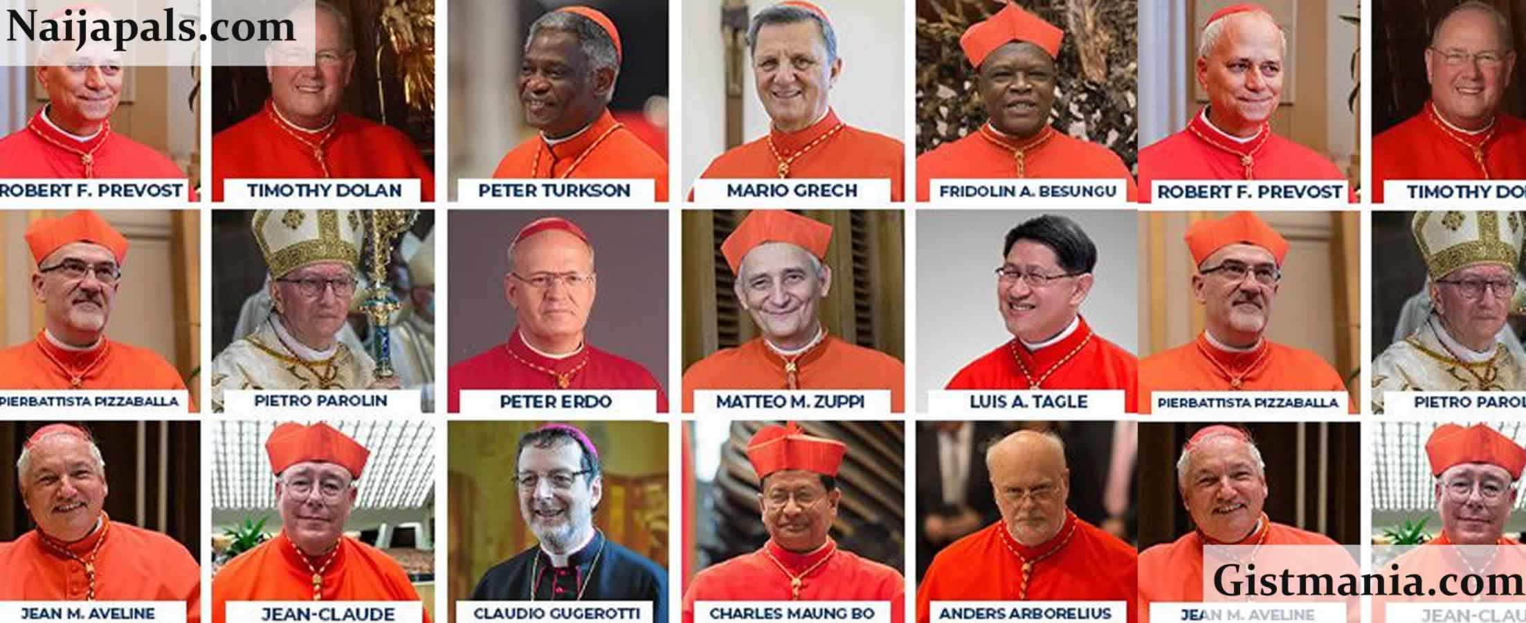 After Pope Francis&#039; Death, Two African Cardinals Emerge As Contenders To Succeed Him (Photos)