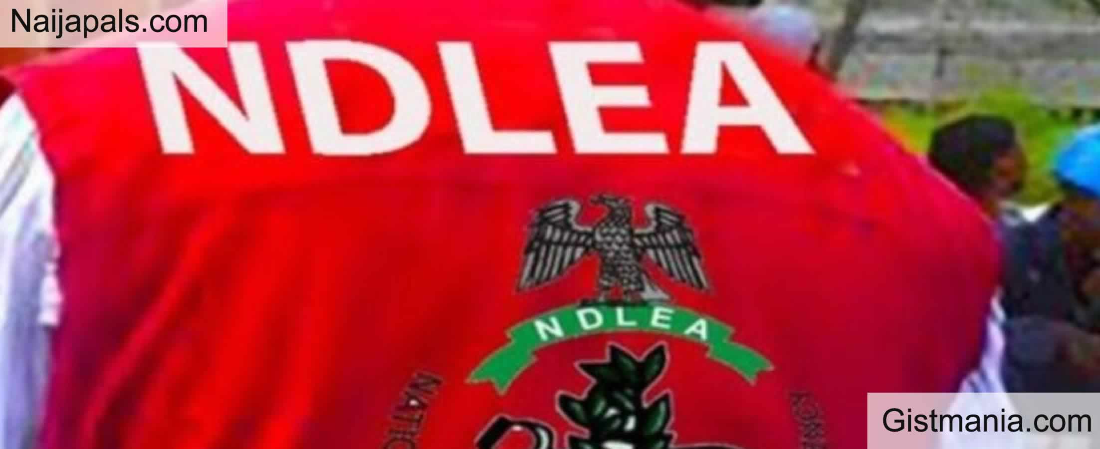 NDLEA Officer, Felix Emmanuel Arrested After Failed Armed Robbery Attempt, Shooting Of Bolt Driver in Abuja