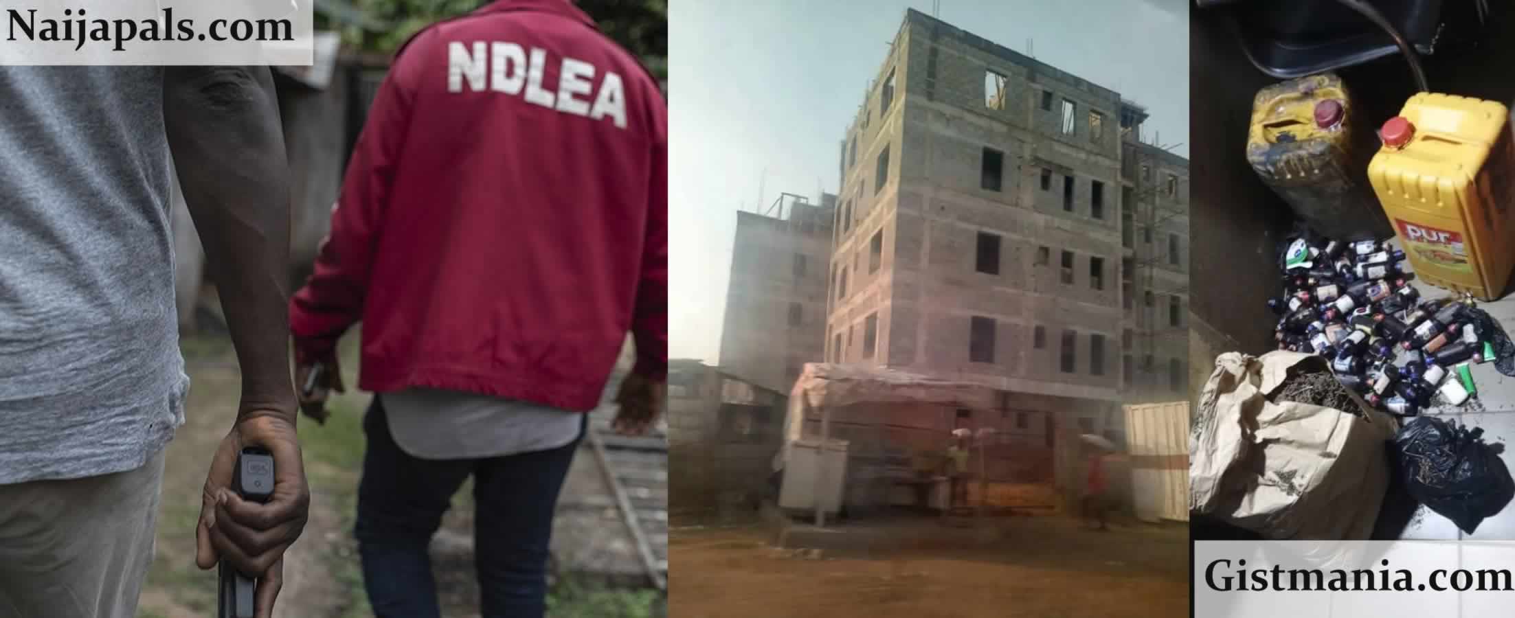 NDLEA Nabs 18-Year-Old Nigerien, Mohammed Isah&#059; Seizes Over 1,100kg of Cannabis in Edo State Crackdown