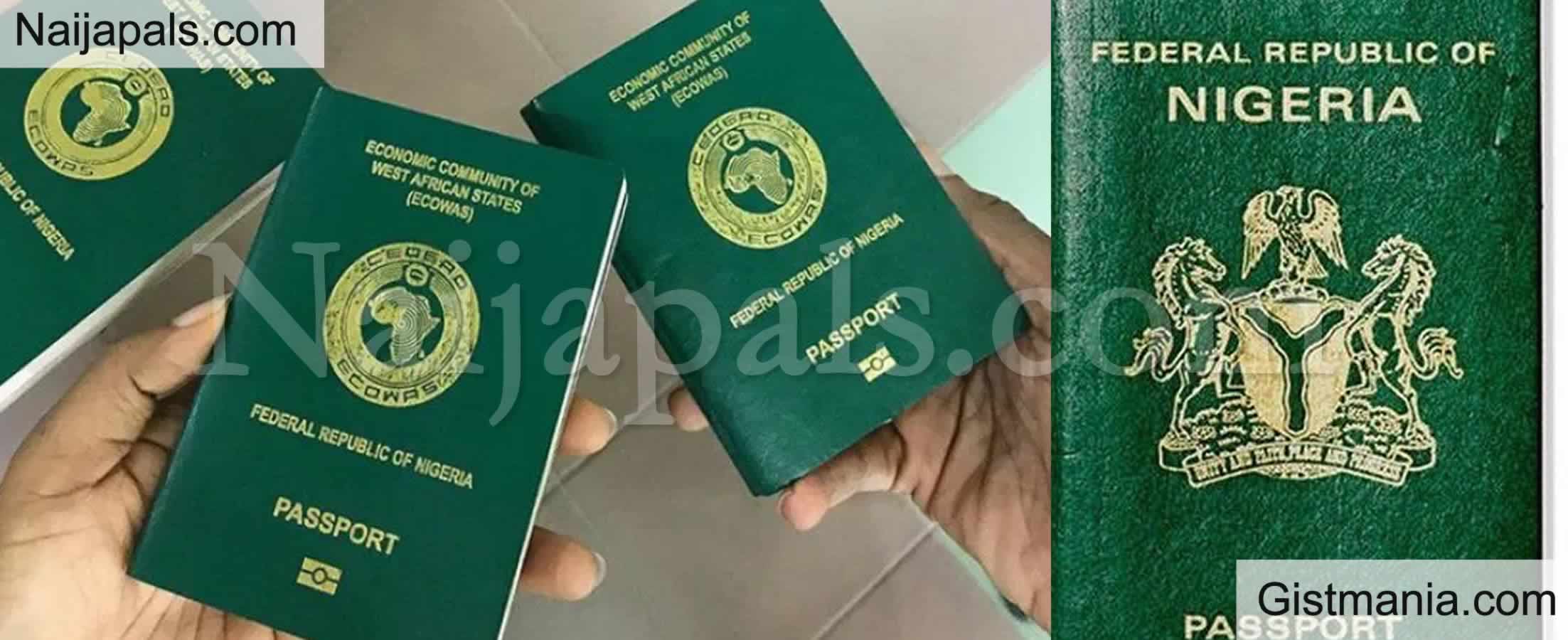 Nigerians In Texas Lament Passport Renewal Extortion, Call For FG Intervention