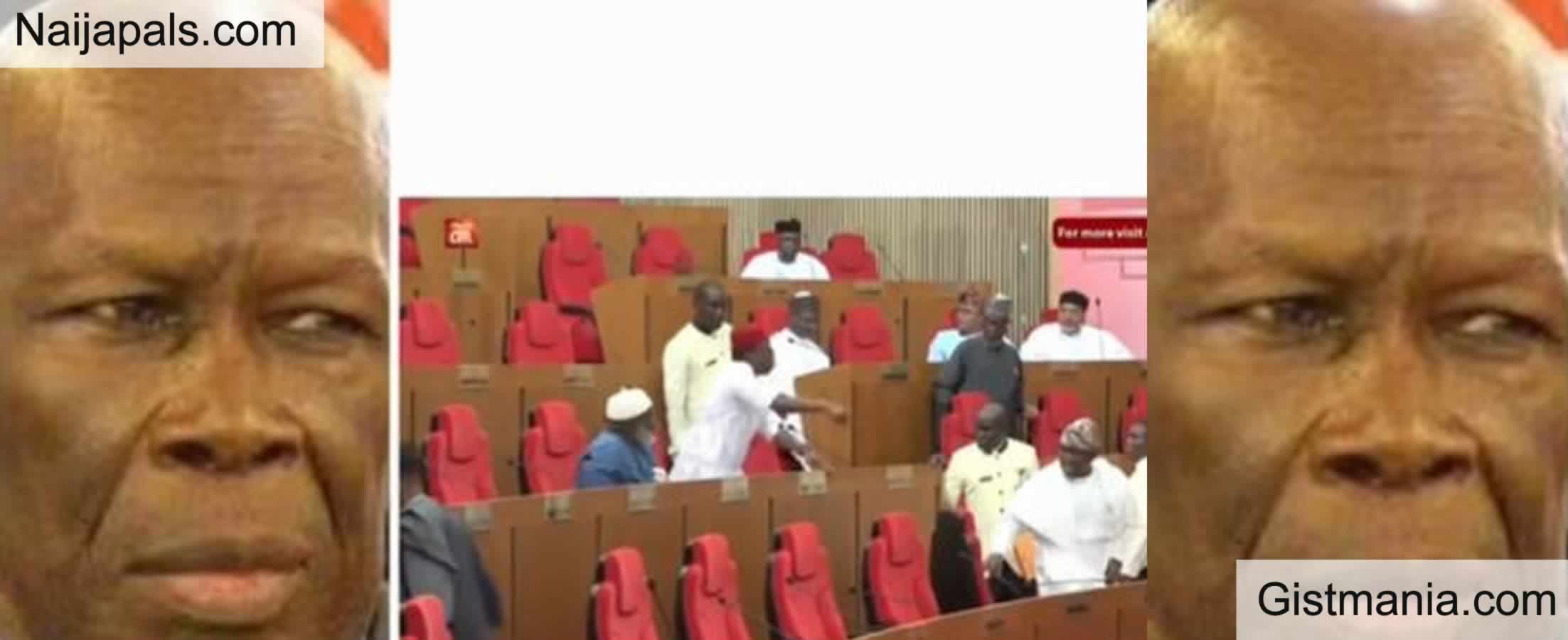 Moment Senators Engage In Altercation Over Motion To Immortalise Ex NEC Chairman, Nwosu