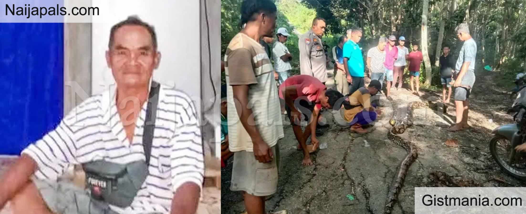 Missing Grandfather Found Dead Inside 28ft Python After Being Crushed And Eaten