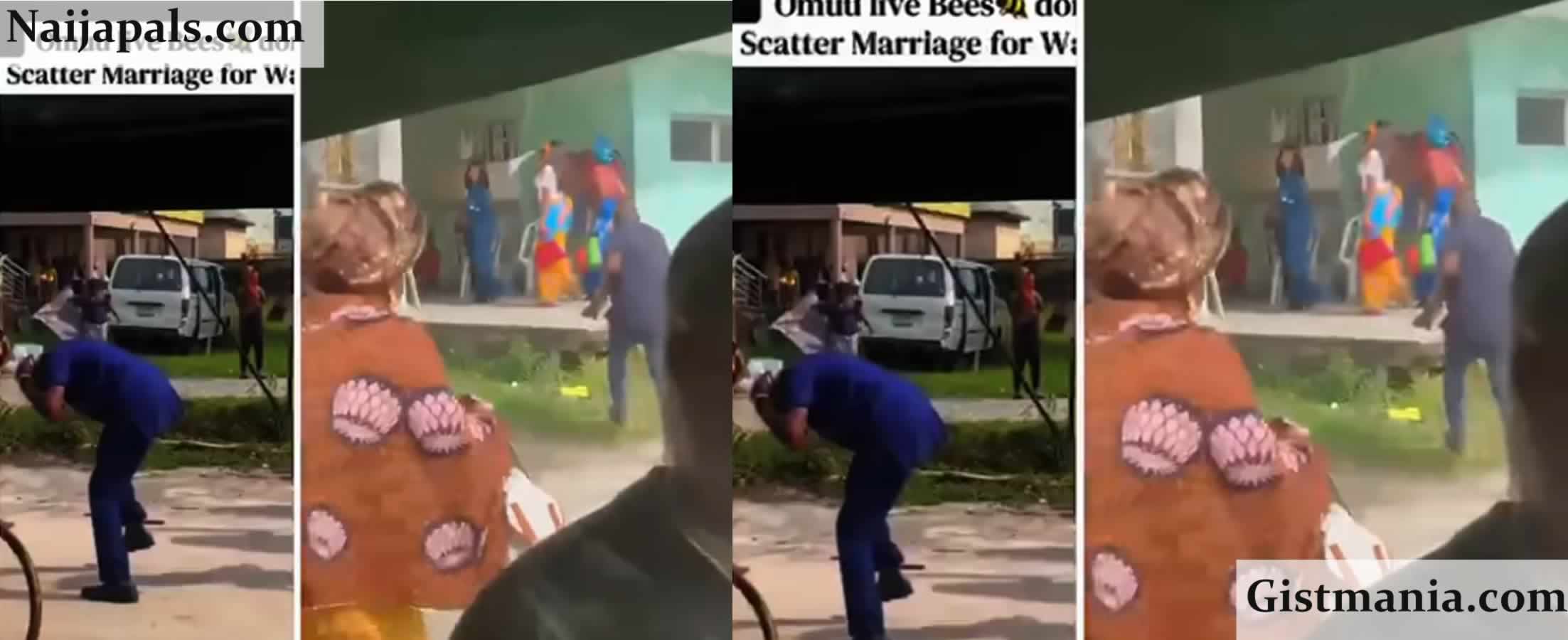 Panic at Delta Wedding as Swarm of Bees Invades Reception, Sends Guests Fleeing for Their Lives (Video)
