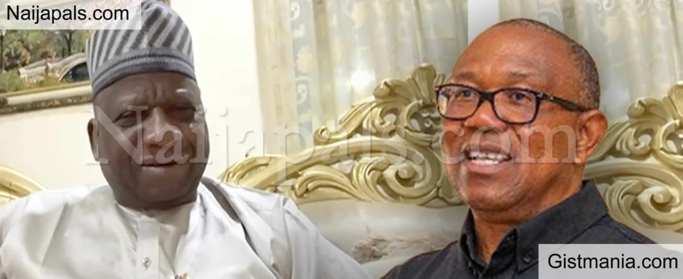 Peter Obi is Not a Saint, His Single Term Proposal Unbelievable - IPAC Boss Yabagi Sani